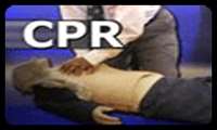 برگزاری کارگاه تئوری - عملی CPR پیشرفته جهت کادر پرستاری دانشگاه